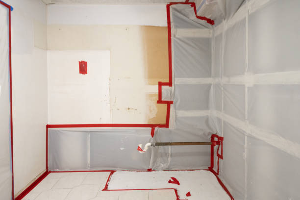 Mold Remediation for Vacation Homes in Rocky Point, WA